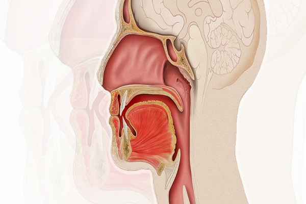 Cáncer de Cabeza y Cuello: