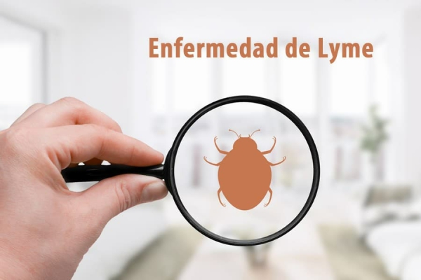 Enfermedad de Lyme